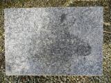image of grave number 690562